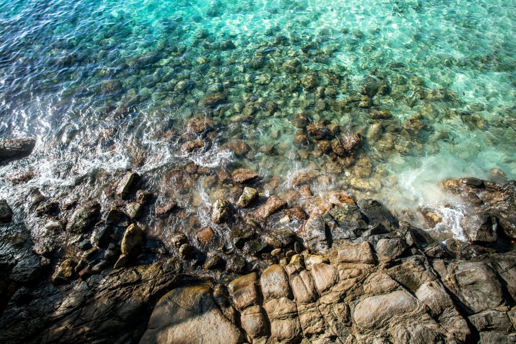 sea landscape beach water