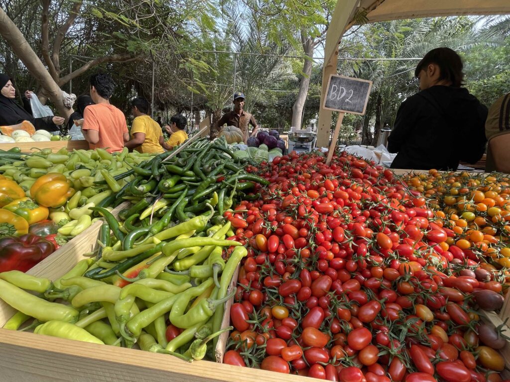 Fresh Vegetables at Farmers Market Bahrain