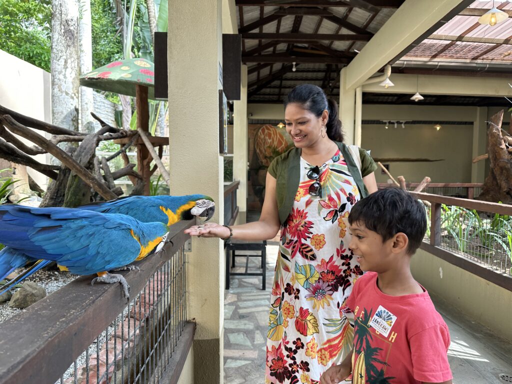 Langkawi Wildlife Park & Bird Paradise Malaysia