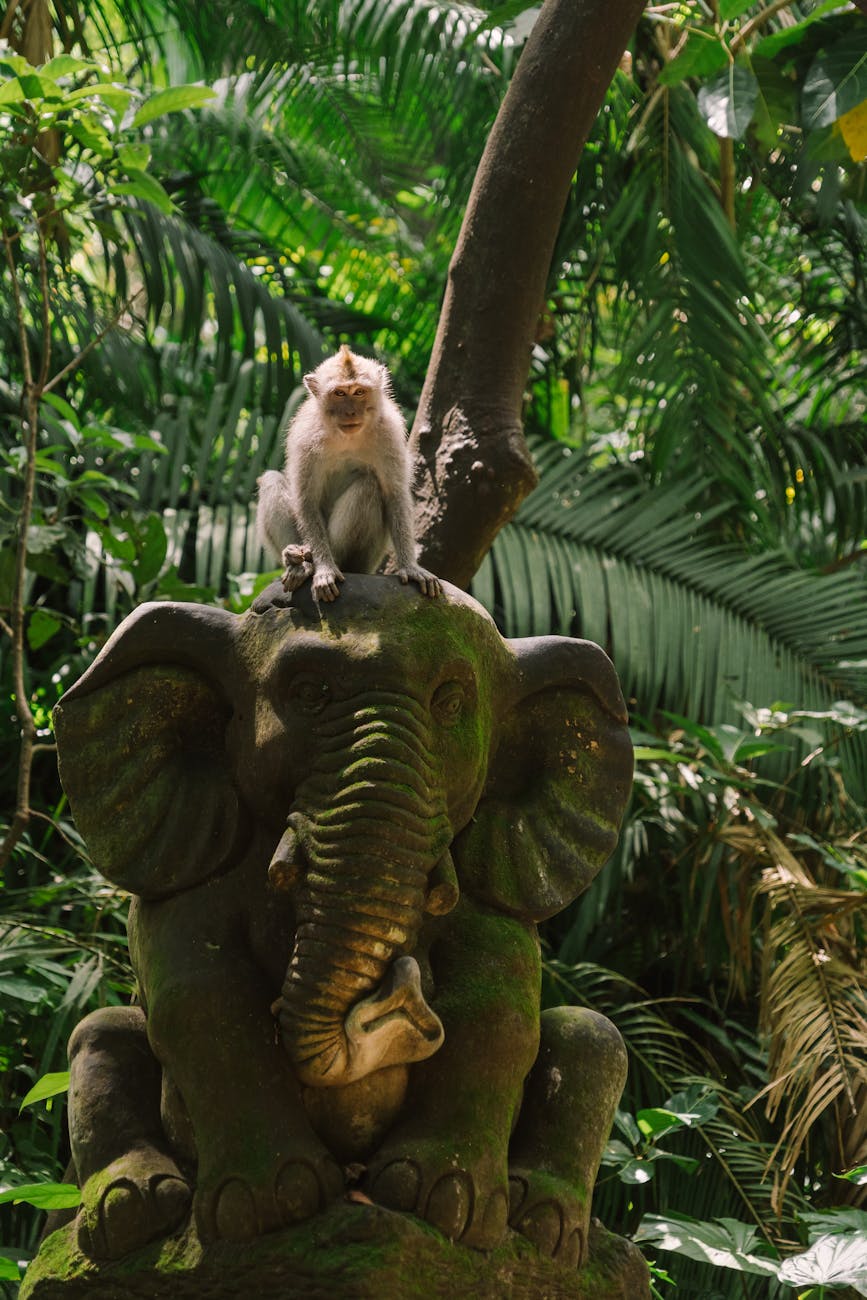 monkey sitting on an elephant figure