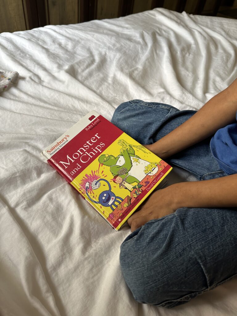 Monster and Chips book by  David O'Connell