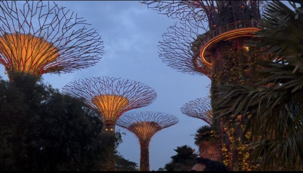 Garden Rhapsody light and sound show, Singapore.
