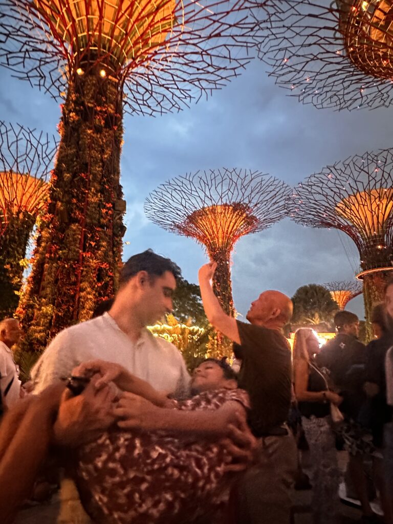 Garden By The Bay evening scene. 