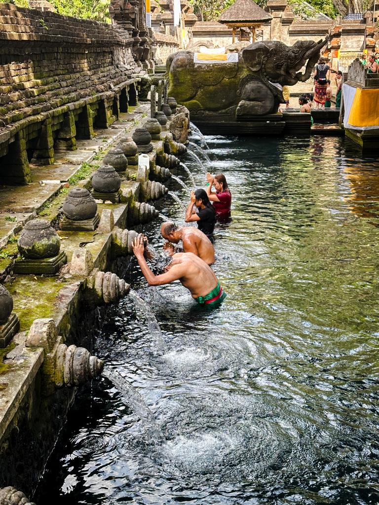 whatsapp image 2023 11 14 at 12.09.53 3.jpeg