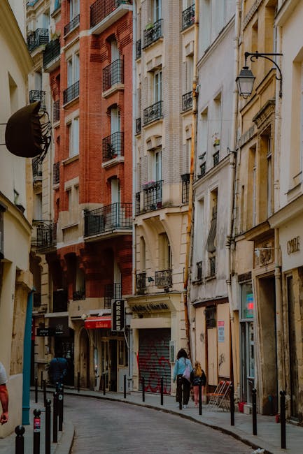 pexels photo 14448249 14448249.jpg