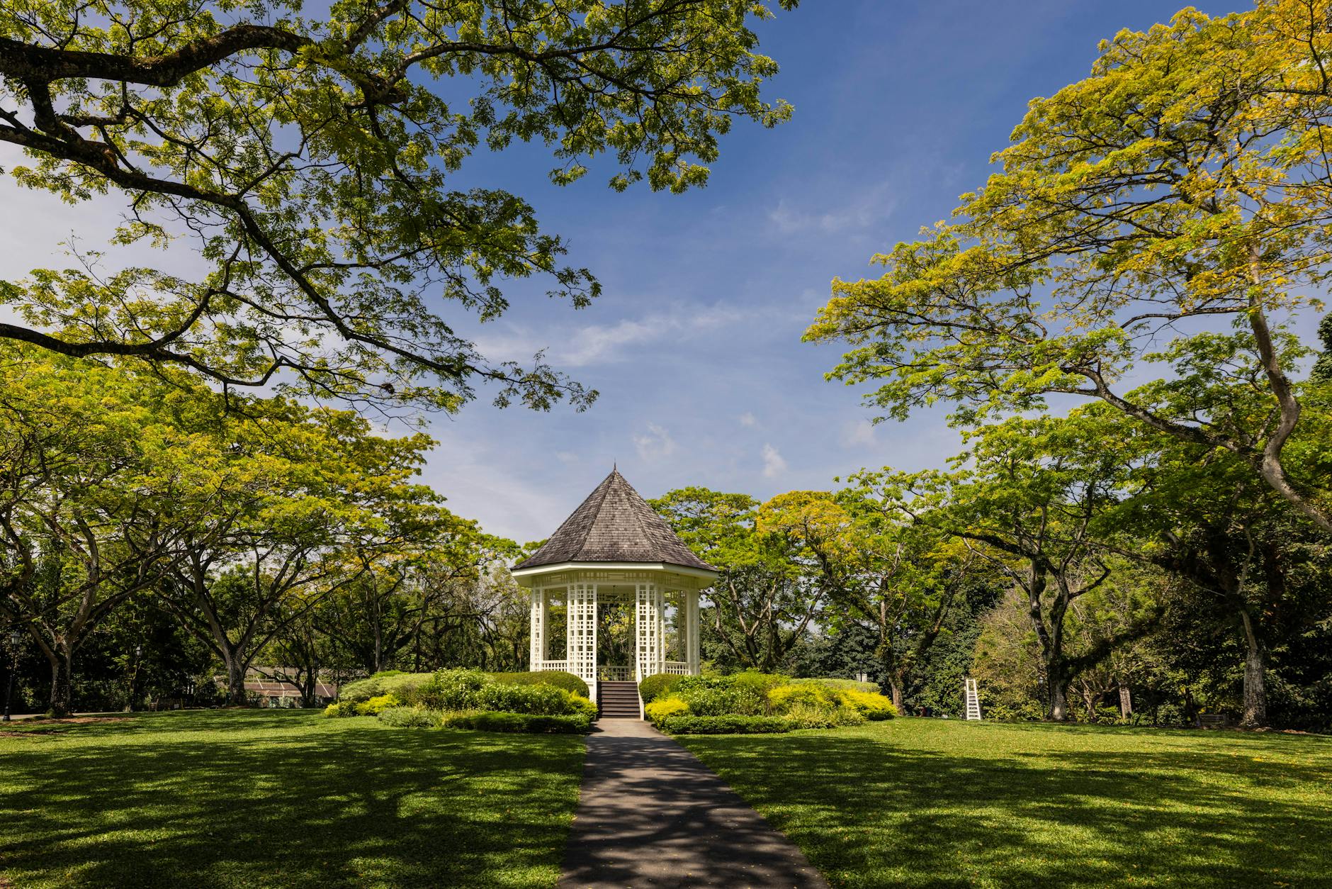 gazebo among trees in park