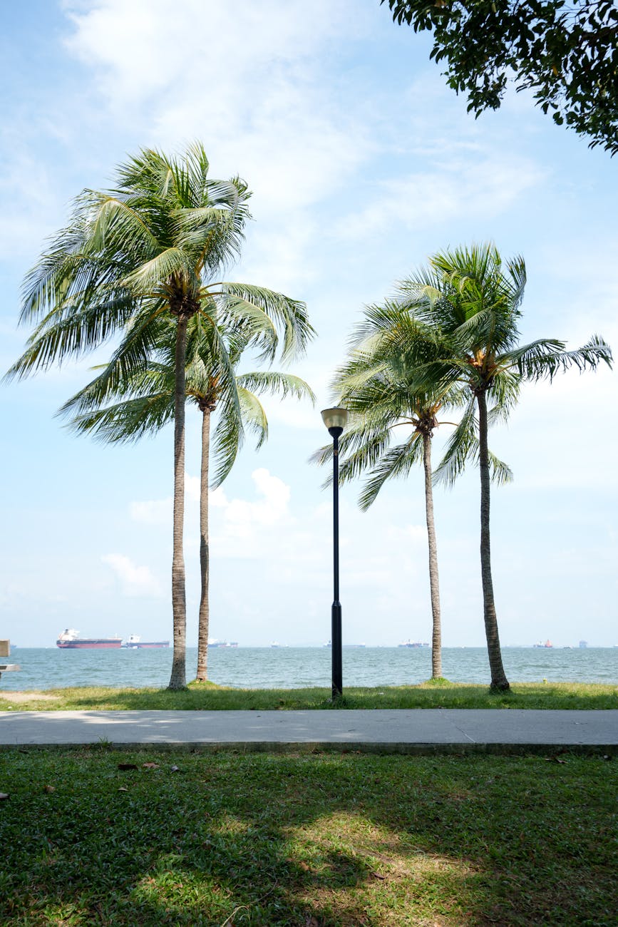 sunny day at east coast park singapore